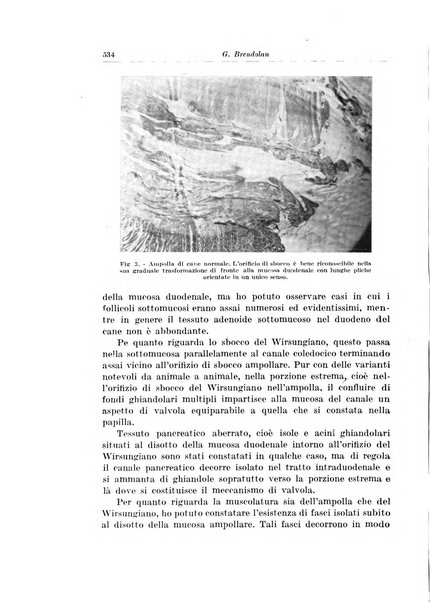 Archivio italiano di chirurgia