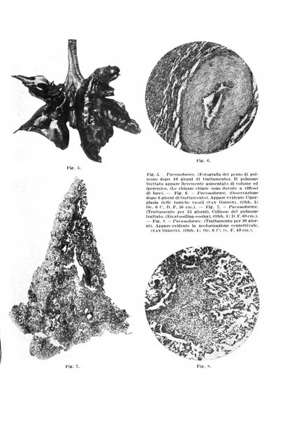 Archivio italiano di chirurgia