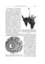 giornale/PUV0110166/1935/V.40/00000651