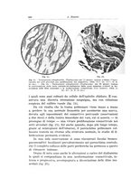 giornale/PUV0110166/1935/V.40/00000652