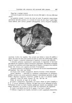 giornale/PUV0110166/1935/V.40/00000727