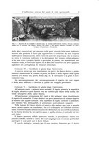 giornale/PUV0110166/1935/V.41/00000019