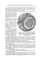 giornale/PUV0110166/1936/V.42/00000019