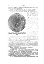 giornale/PUV0110166/1936/V.42/00000020