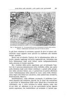 giornale/PUV0110166/1936/V.42/00000587