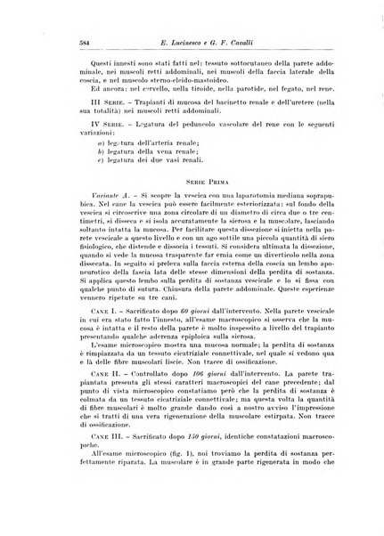 Archivio italiano di chirurgia