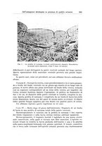 giornale/PUV0110166/1936/V.42/00000615