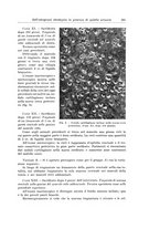 giornale/PUV0110166/1936/V.42/00000621