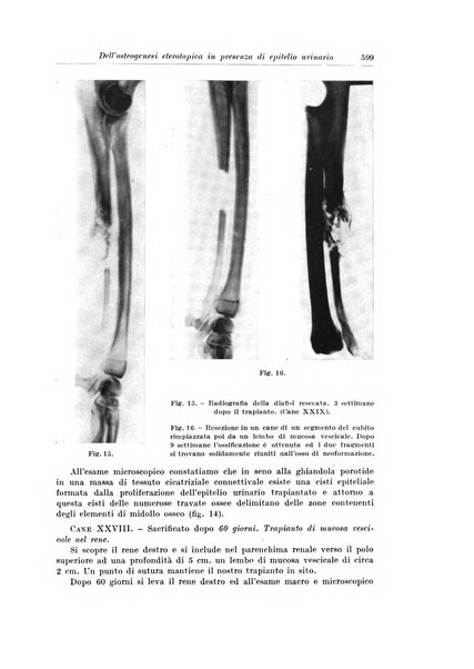 Archivio italiano di chirurgia