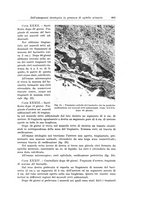 giornale/PUV0110166/1936/V.42/00000635