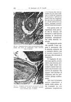 giornale/PUV0110166/1936/V.42/00000636