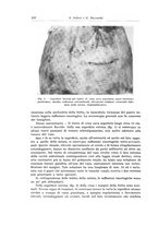 giornale/PUV0110166/1936/V.43/00000260
