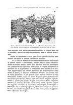 giornale/PUV0110166/1936/V.43/00000265