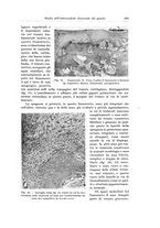 giornale/PUV0110166/1936/V.43/00000287