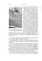 giornale/PUV0110166/1936/V.43/00000288