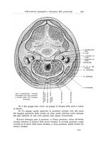 giornale/PUV0110166/1936/V.43/00000455