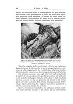 giornale/PUV0110166/1936/V.43/00000464