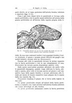 giornale/PUV0110166/1936/V.43/00000466