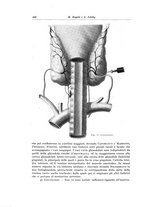 giornale/PUV0110166/1936/V.43/00000474