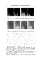 giornale/PUV0110166/1936/V.44/00000019