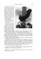 giornale/PUV0110166/1936/V.44/00000045