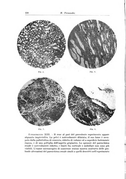 Archivio italiano di chirurgia