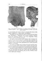 giornale/PUV0110166/1936/V.44/00000216