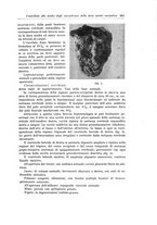 giornale/PUV0110166/1936/V.44/00000299