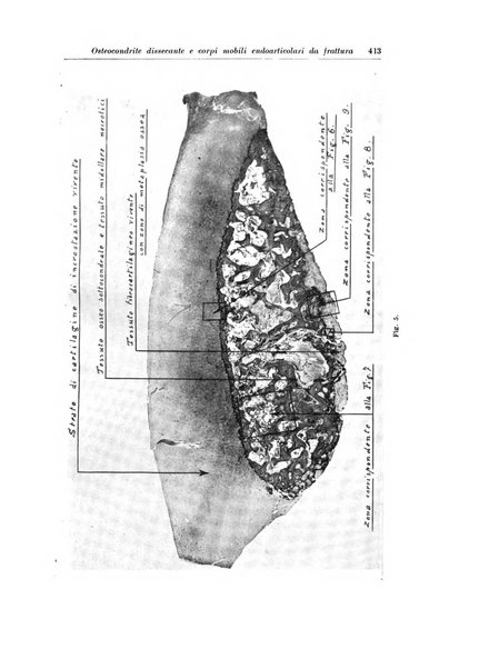 Archivio italiano di chirurgia