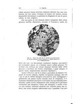 giornale/PUV0110166/1936/V.44/00000536