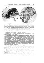 giornale/PUV0110166/1937/V.45/00000041