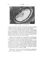 giornale/PUV0110166/1937/V.45/00000060
