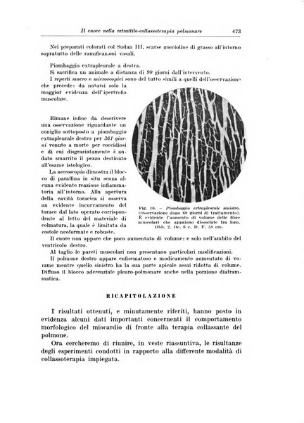 Archivio italiano di chirurgia