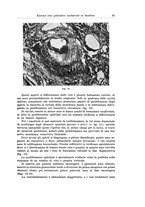 giornale/PUV0110166/1937/V.46/00000035