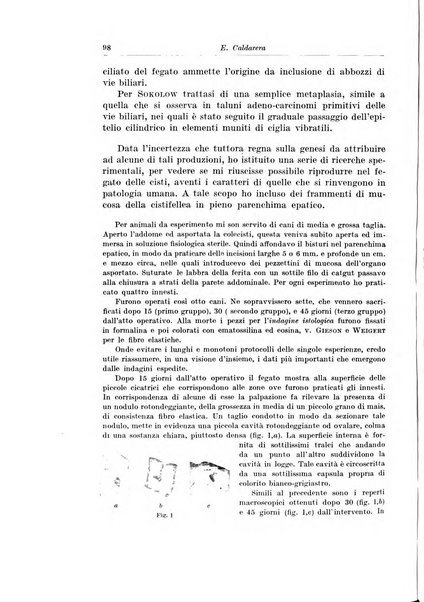 Archivio italiano di chirurgia