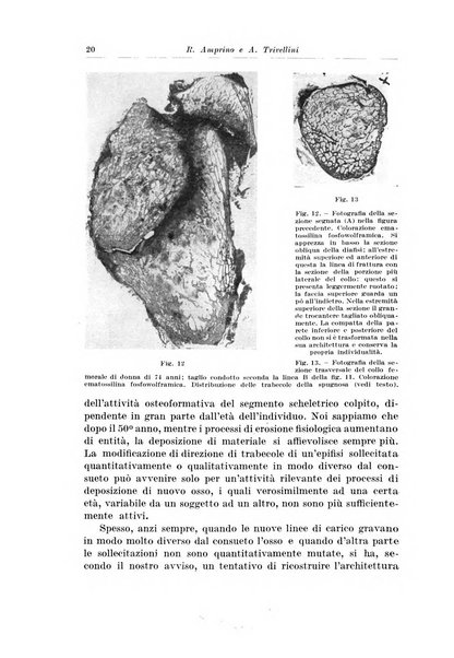 Archivio italiano di chirurgia