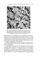 giornale/PUV0110166/1937/V.47/00000041