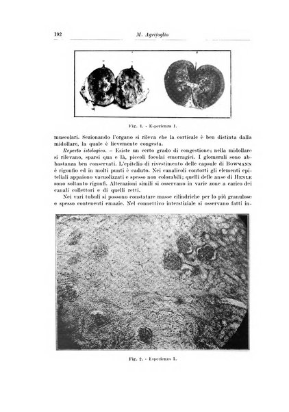 Archivio italiano di chirurgia