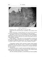 giornale/PUV0110166/1937/V.47/00000218