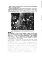 giornale/PUV0110166/1937/V.47/00000234
