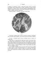 giornale/PUV0110166/1937/V.47/00000276
