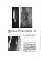 giornale/PUV0110166/1937/V.47/00000306