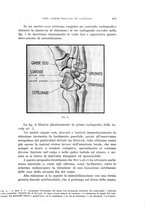 giornale/PUV0110166/1937/V.47/00000325