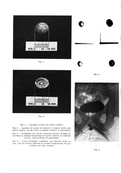 Archivio italiano di chirurgia