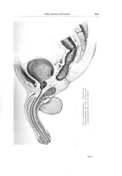 Archivio italiano di chirurgia