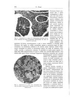 giornale/PUV0110166/1937/V.47/00000394