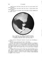 giornale/PUV0110166/1937/V.47/00000456