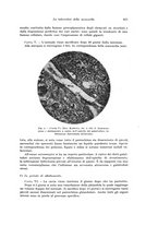 giornale/PUV0110166/1937/V.47/00000645