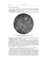 giornale/PUV0110166/1937/V.47/00000648