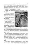 giornale/PUV0110166/1938/V.49/00000093